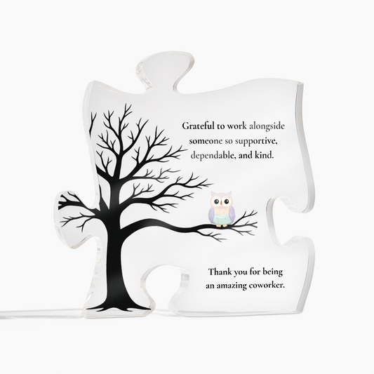 Coworker Appreciation Acrylic Puzzle Piece – Thank You Team Gift