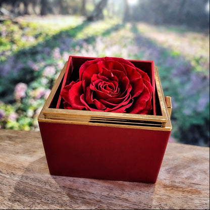 To My Wife – Soulmate and Best Friend – Touching Message Card Gift – Perfect for Valentine's Day, Anniversary Gift, Birthday Gift